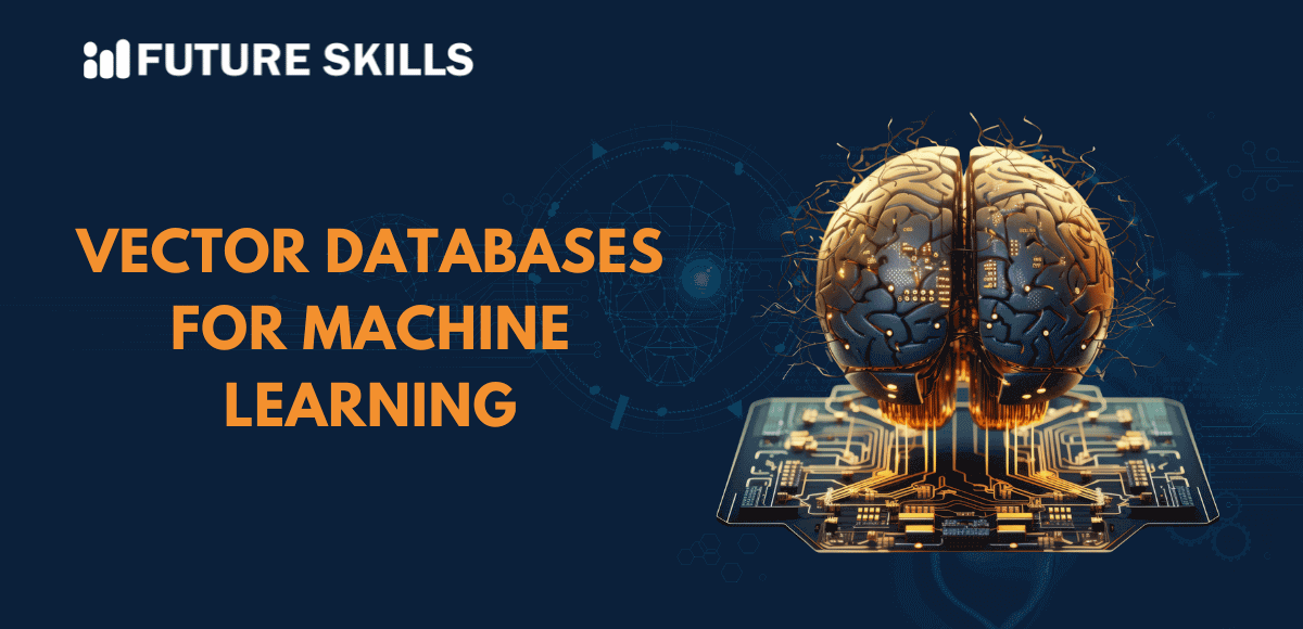 vector databases for machine learning